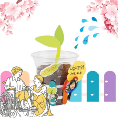 노인여가프로그램개발