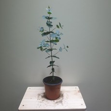 a5e91d68694c07e231952a3b1eae413e5ee97f2b169ae8289e0c5748ef9c.jpg