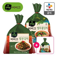 [본사직영]시원 아삭한 비비고 열무김치 1.5kg+열무물김치 900gx2, 2개, 900g