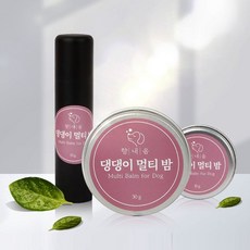 말썽쟁이여름 강아지 코건조 코밤 풋밤 발밤 보습 크림 발바닥 보습제, 멀티밤 스틱 15g, 15g, 1개