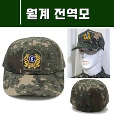 디지털전역모