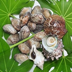 맛있는한끼 국내산 모듬 조개세트500g내외(3종), 1개