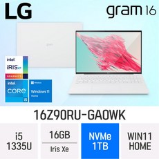 LG전자 그램16 16Z90RU-GAOWK, WIN11 Home, 16GB, 1TB, W