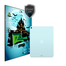 아이패드 프로 3세대 12.9인치 후면 보호필름 2매