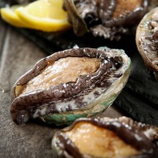 [완도직송] 더 싱싱한 완도 활전복 1kg (15-16미), 1개