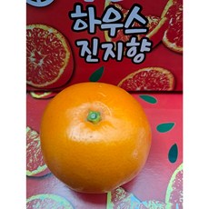 (과일천국1번지) 프리미엄 고당도 진지향 3kg (선물용)