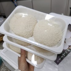 농장직송 노루궁뎅이버섯 입안에서 사르르 부드럽고 맛있는 버섯, 1개, 500g(3팩)