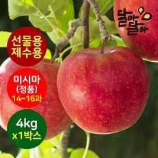 문루즈사과 TOP01