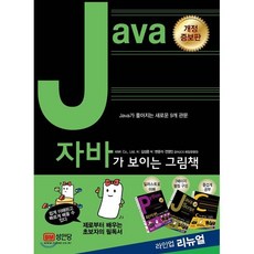 Java가 보이는 그림책, 성안당, ANK Co., Ltd. 저/김성훈 역