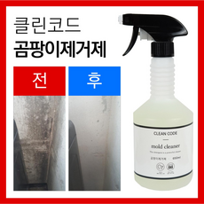 1+1 클린코드 곰팡이제거제 벽 벽지 화장실 베란다 실리콘 창틀 욕실 결로 곰팡이제거, 1개, 650ml