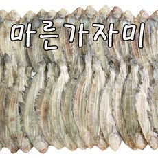 가자제주닷컴-추천-상품