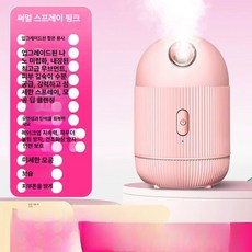 냉온 얼굴스팀기 미용 페이셜 셀프 수분공급기 페이셜스티머 홈케어 보습 모공관리기 가정용, 3.열분무-파우더 탈부착형 물탱크 + 항온열분무 + 안