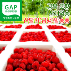 포항 햇 산딸기 냉동산딸기 산지직송 500g 1kg 2kg, 250g, 2개