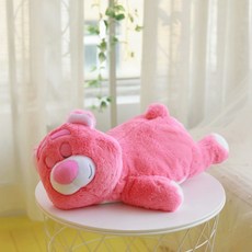 푸우티슈케이스