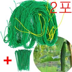 그물망