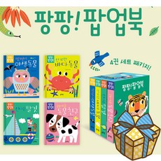 팡팡! 팝업북 세트 블루래빗 유아책 4종 사은품증정