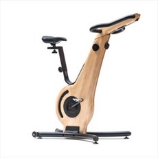 노르드 바이크 ASH 헬스사이클 홈트레이닝 독일핸메이드