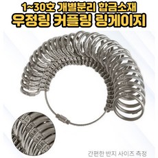 반지호수신게이지
