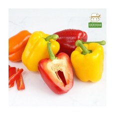 비타민풍부 아삭달콤 국내산 파프리카 2kg, ONE COLOR, ONE SIZE