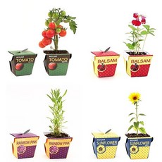 허브키우기도서