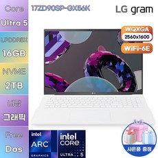 LG WIN11 그램 프로17 17ZD90SP-GX56K 업무용 대학생 노트북, Free DOS, 16GB, 2TB, 에센스 화이트