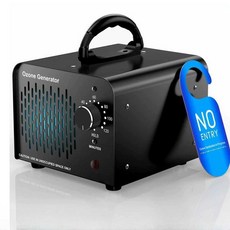 12V 차량용 오존발생기 오존 휴대용 살균기 발생기, 12V 15g 실버 그레이