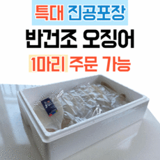 국내산 반건조오징어 피데기 특대 진공포장 170g, 10개
