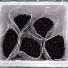 아로니아생과10kg