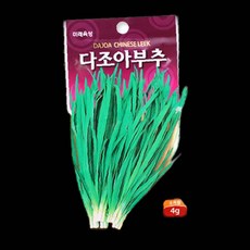 다조아부추 새싹재배 93000EA