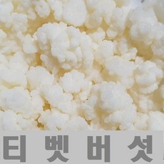 티벳버섯 케피어그레인, 30cc