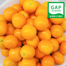 (자연마을) 제주 GAP 마이스터 고당도 하우스 금귤 낑깡 3kg 5kg, GAP 고당도 마이스터 금귤 3kg, 1개