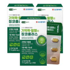 기억력 혈행엔 징코플러스러스, 90정, 1개