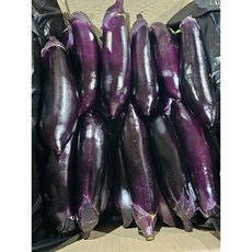 국내산 가지 특 1kg 3kg 5kg, 비참여, 1개
