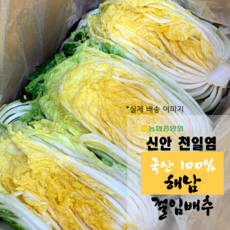 해남절임배추20kg절인배추 해남절임배추김장배추 국산배추, 12월 10(화) 출발, 1박스, 20kg