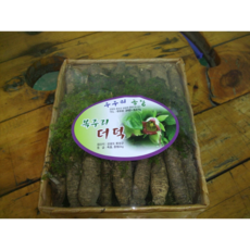 횡성더덕 4호, 1개