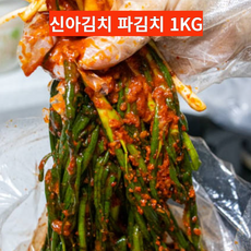 [100%국내산] 신아김치 파김치 1KG, 1개