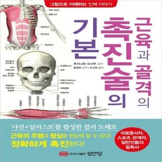 근육과골격의촉진술의기본(그림으로이해하는인체이야기)