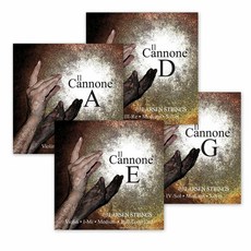 광주바이올린대여