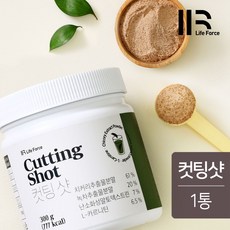 라이프포스 컷팅샷 벌크형 300g X 1통 / 컷팅베이스 치커리 마테차