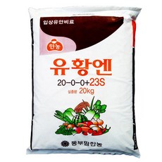 영암황토멜론