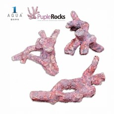 퍼플락 브랜치 약 1kg, 1개