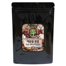 기관지염약초