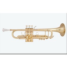 바하트럼펫수입