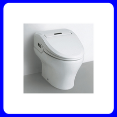 대림비데일체형변기