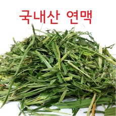 국산 연맥 200g / 토끼 기니피그 건초 간식