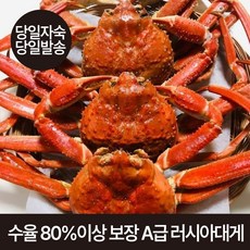 수율보장 100% 러시아 대게 정품 A급 3kg 2~4미, 1개