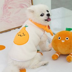 강아지올인원 TOP01