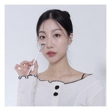 필리밀리코렉터브러쉬811