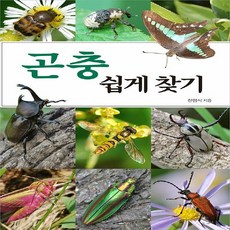 곤충쉽게찾기한영식