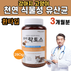 던킨먼치킨
